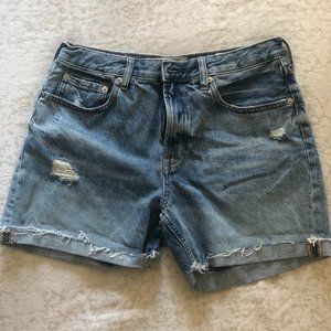 Everlane Size 28 Denim Short in Distressed